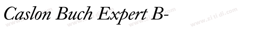 Caslon Buch Expert B字体转换